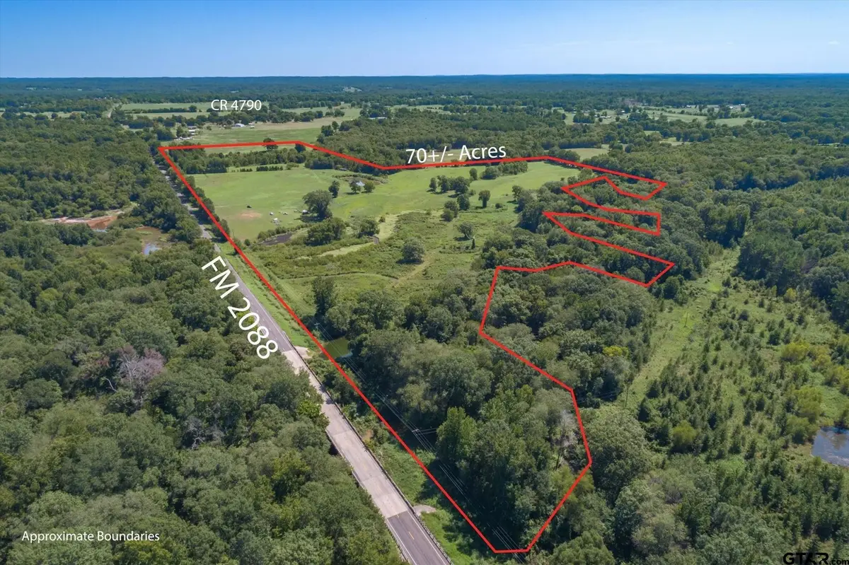 TBD Fm 2088, Winnsboro, TX 75494 - #1