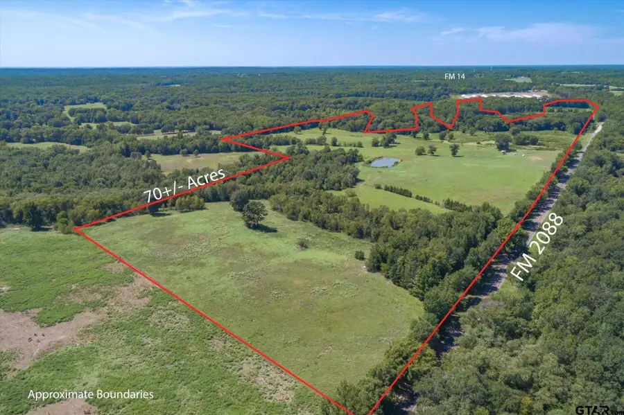 TBD Fm 2088, Winnsboro, TX 75494 - #2