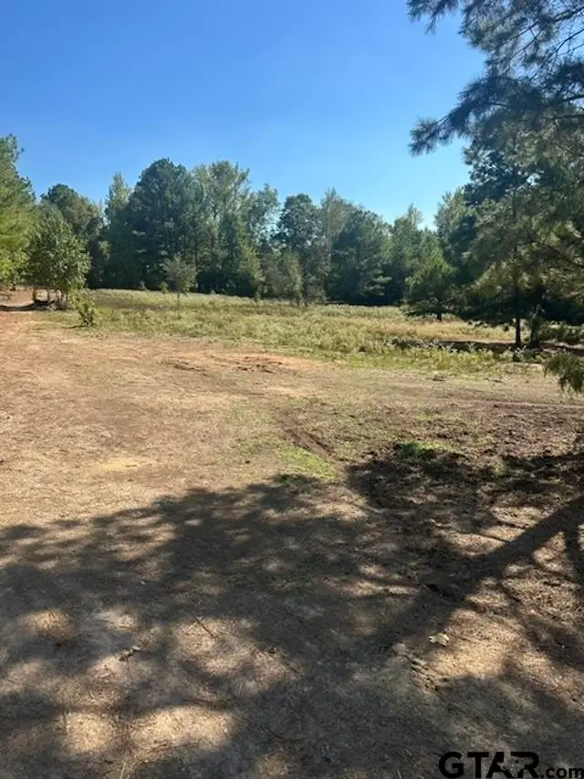 2669 Poppy, Gilmer, TX 75644 - #3