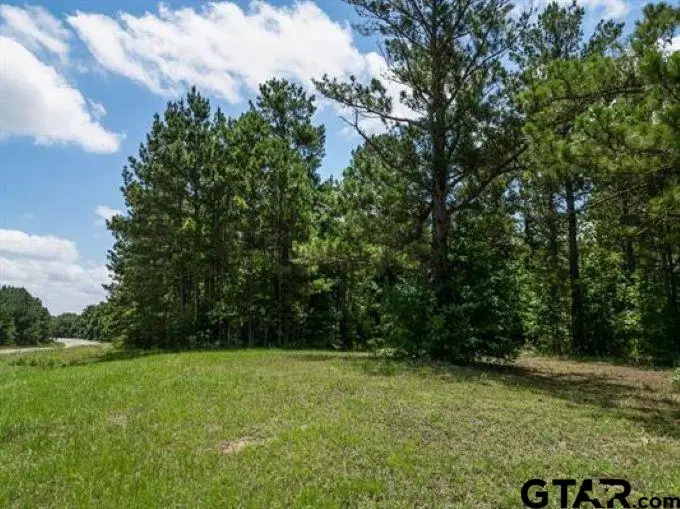 TBD W Highway 67, Omaha, TX 75571 - #3