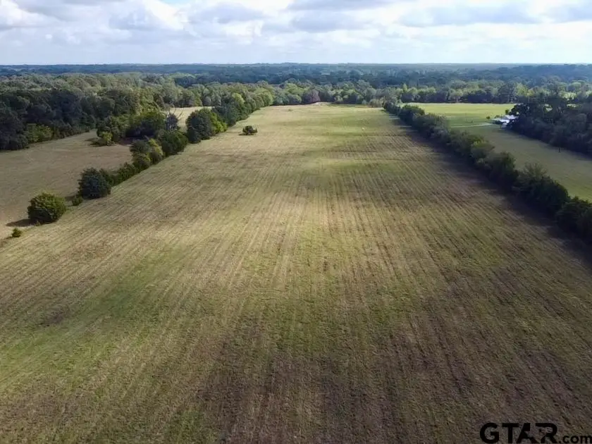 TBD Fm 779, Alba, TX 75410 - #1