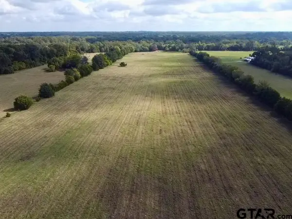 TBD Fm 779, Alba, TX 75410