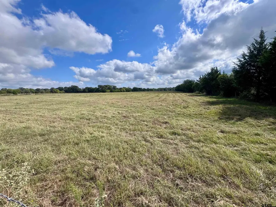 TBD Fm 779, Alba, TX 75410 - #3