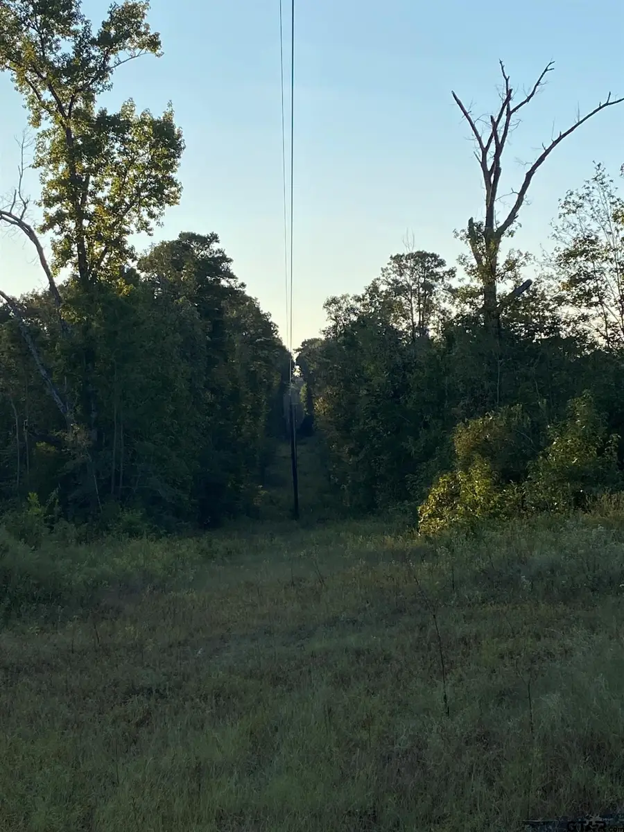 655 Co Rd 2202, Rusk, TX 75785 - #2