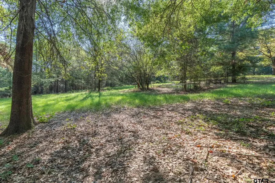 TBD Bay Shore Dr, Flint, TX 75762 - #2