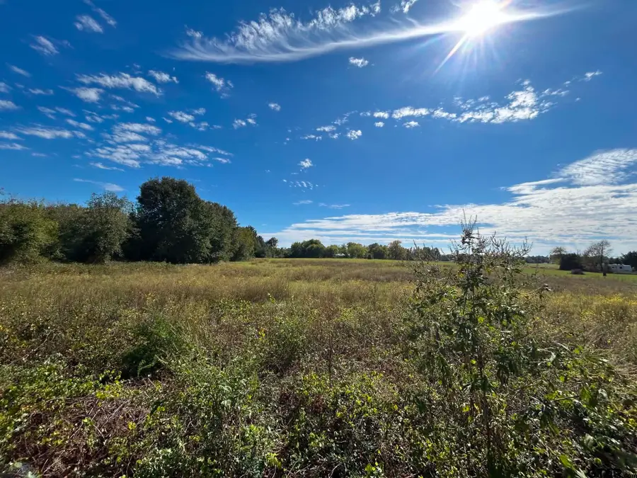 TBD County Road 3313, Chandler, TX 75758 - #2
