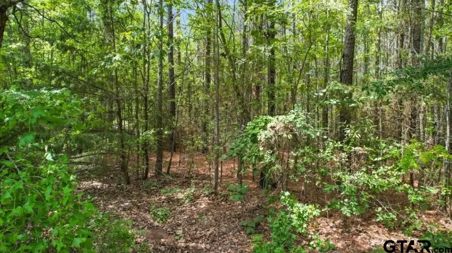 4665 Cr 4114, Hughes Springs, TX 75656 - #2