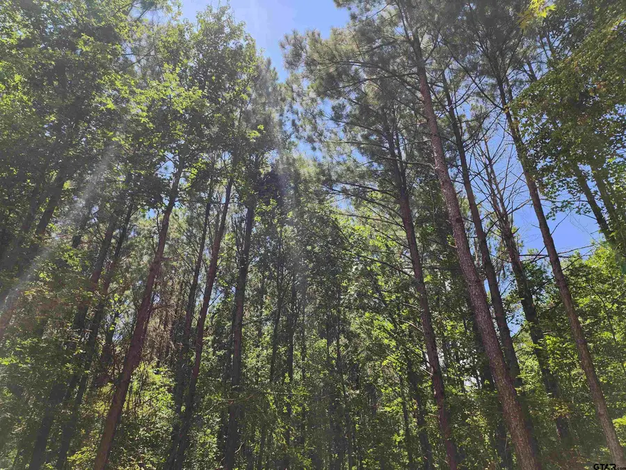 4665 Cr 4114, Hughes Springs, TX 75656 - #3
