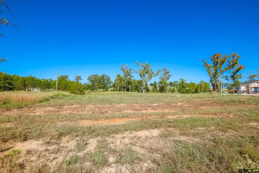 12144 Cotton St, Flint, TX 75762 - #2
