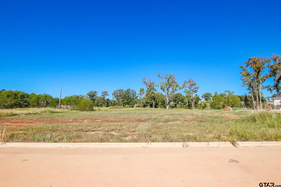 12144 Cotton St, Flint, TX 75762 - #3