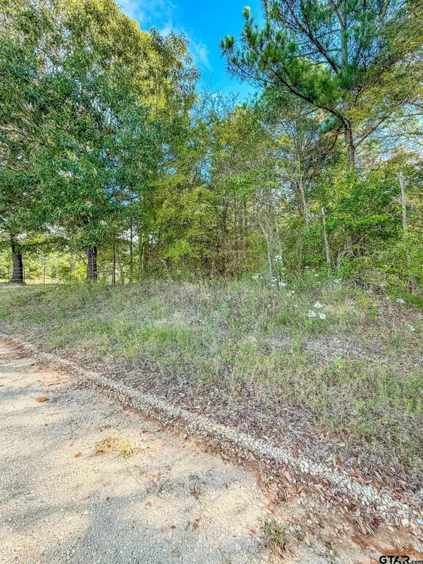 Lot 2 Cr 3424, Bullard, TX 75757