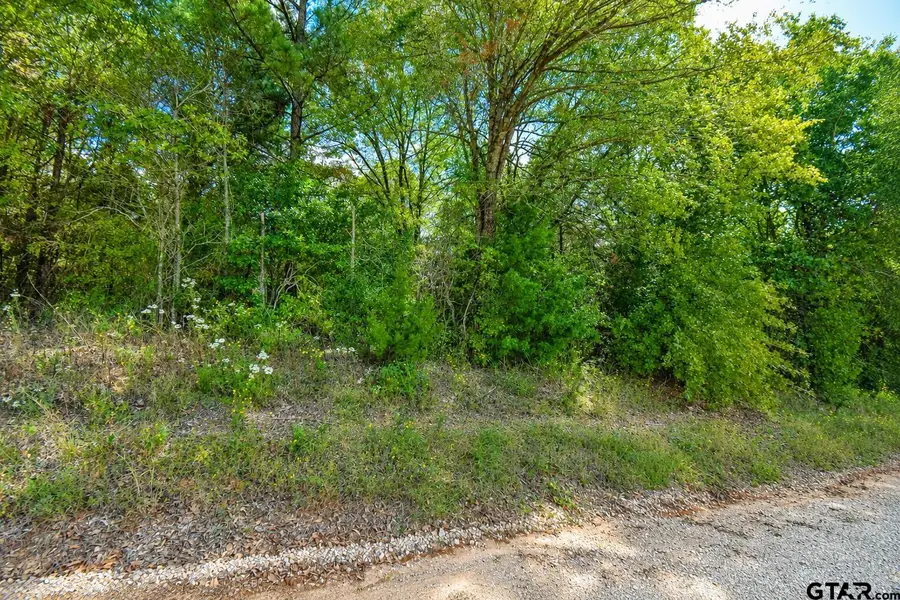 Lot 2 Cr 3424, Bullard, TX 75757 - #2