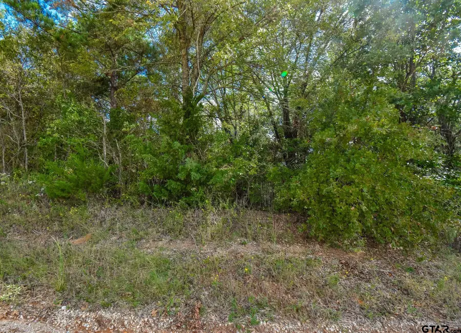 Lot 2 Cr 3424, Bullard, TX 75757 - #3