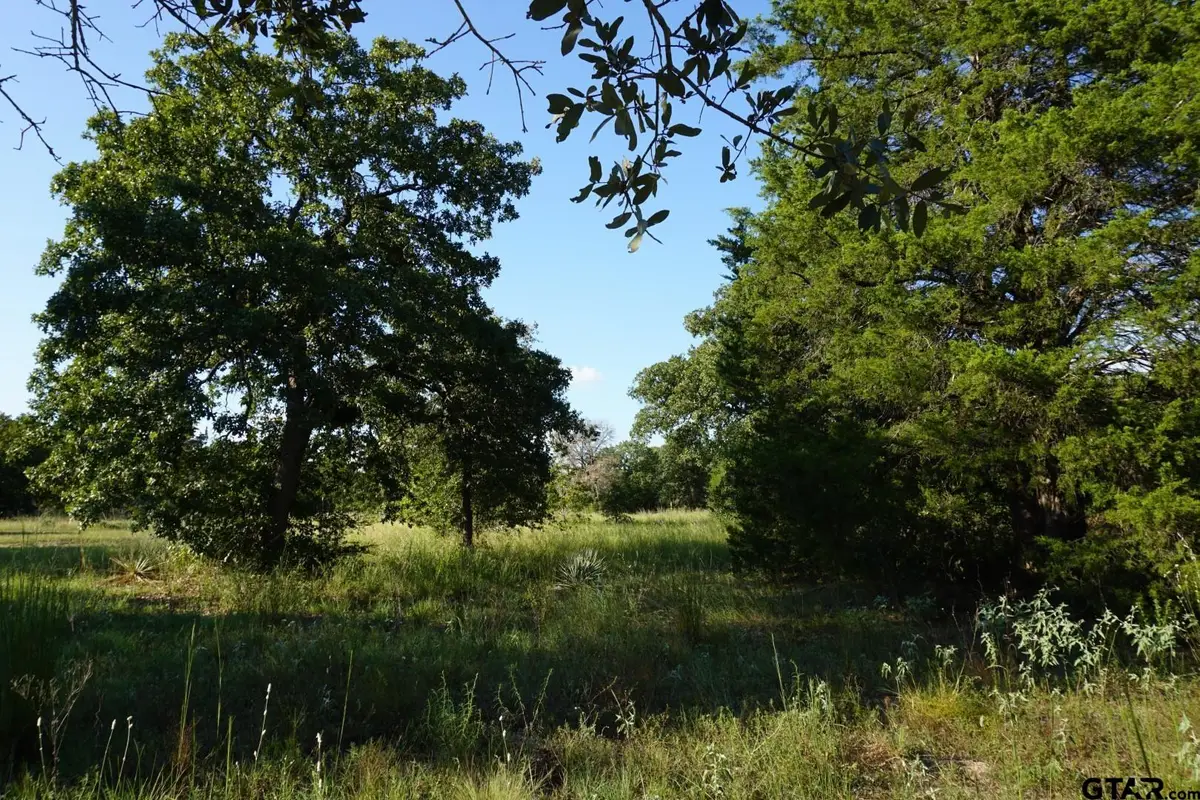 12641 Private Rd 5104, Athens, TX 75751 - #1