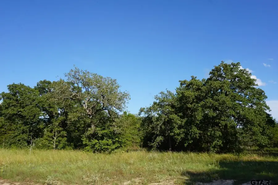 12641 Private Rd 5104, Athens, TX 75751 - #2