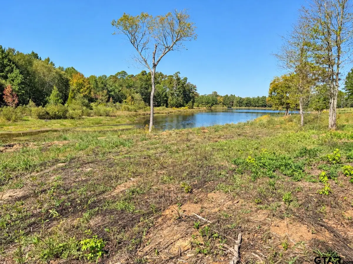 15997 Fm 2015, Winona, TX 75792 - #1