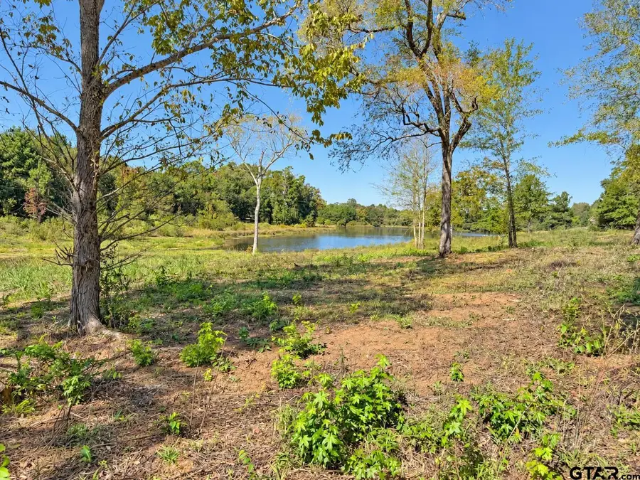 15997 Fm 2015, Winona, TX 75792 - #2