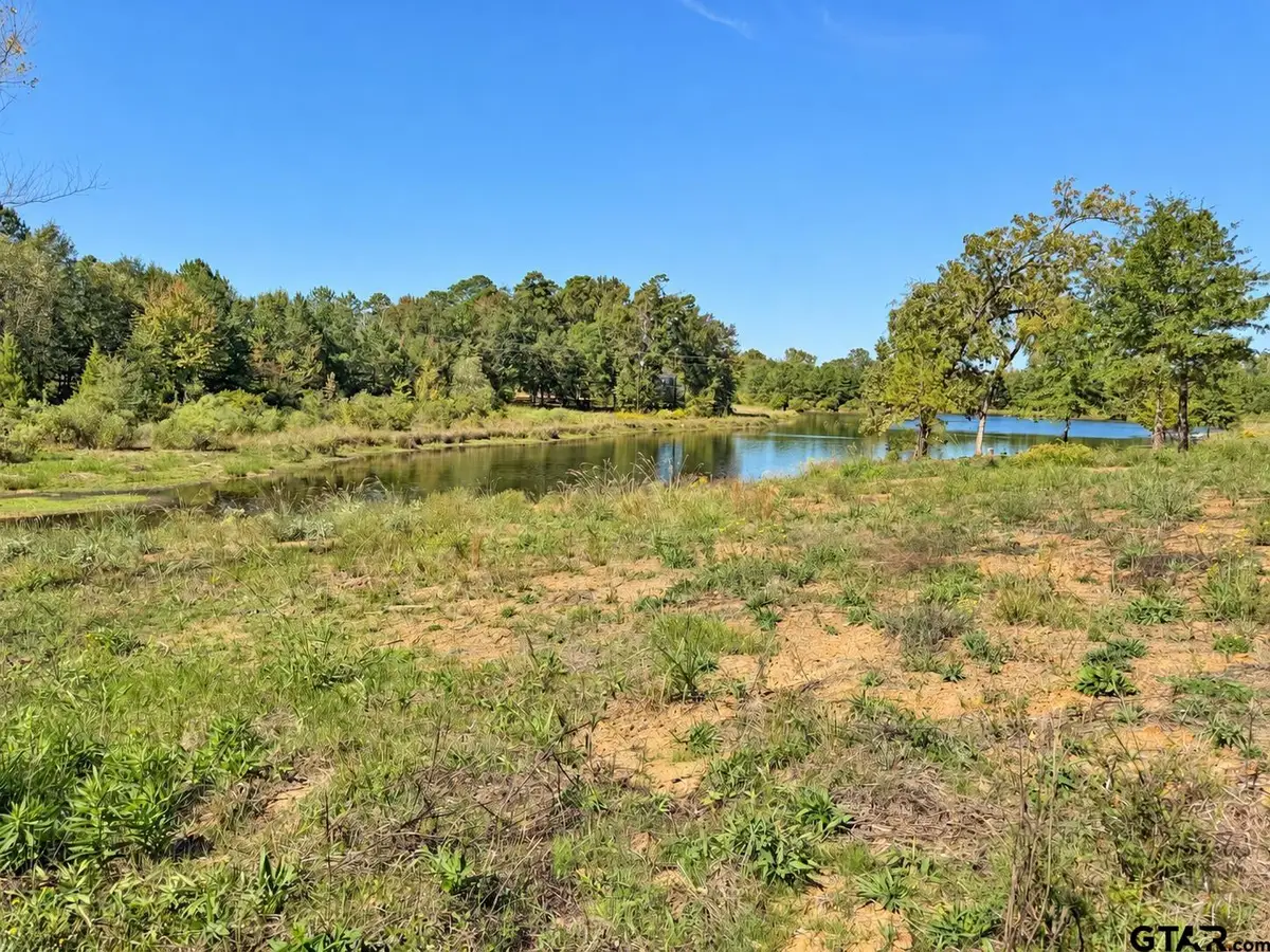TBD Fm 2015 Lot "a", Winona, TX 75792 - #1