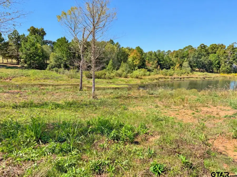 TBD Fm 2015 Lot "a", Winona, TX 75792 - #3