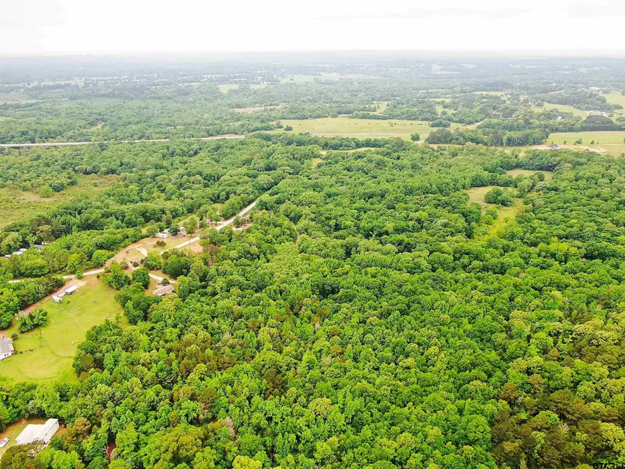 15918 County Road 46, Tyler, TX 75704 - #3