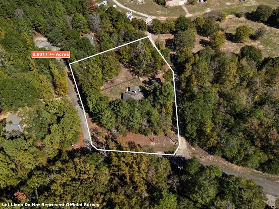 108 Wagon Wheel Path, Holly Lake Ranch, TX 75765 - #3