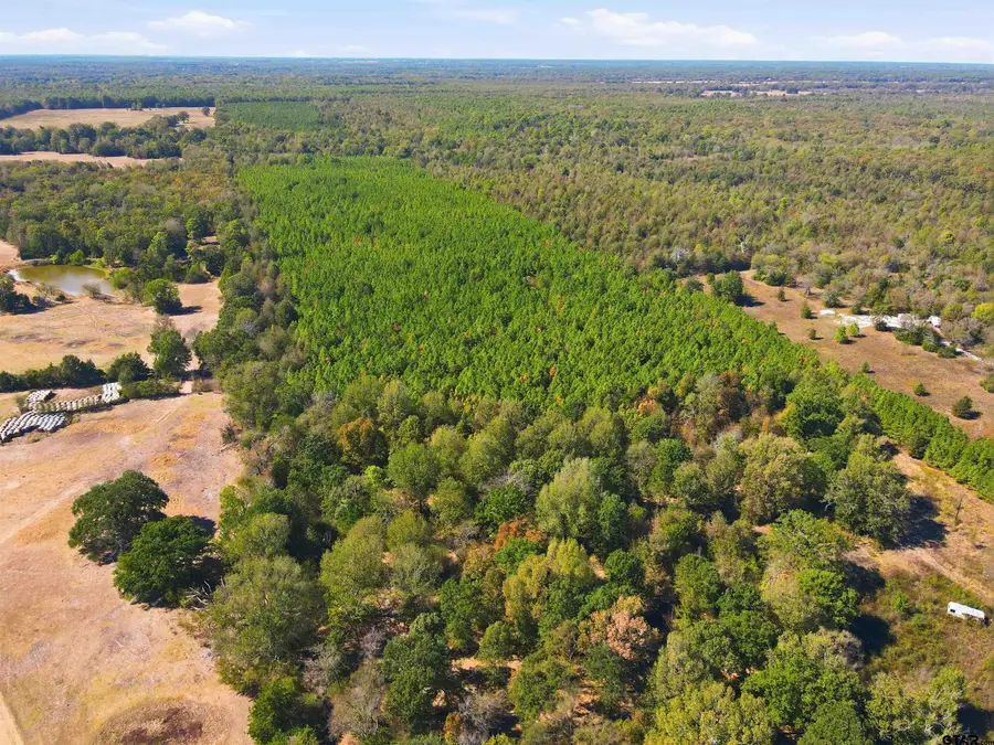 4252 Hwy 98, New Boston, TX 75570 - #2