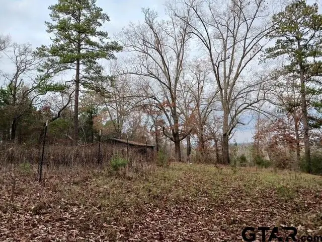 765 Private Road 4322, Hallsville, TX 75650 - #2
