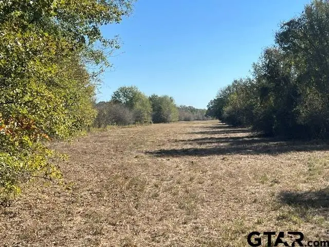 TBD Fm 1159, Clarksville, TX 75426 - #1