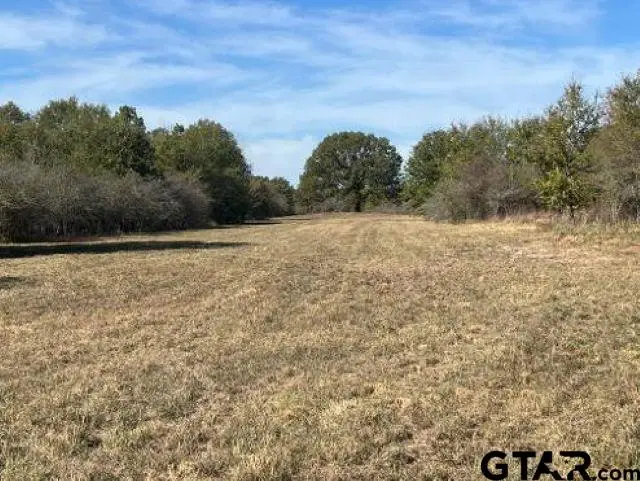 TBD Fm 1159, Clarksville, TX 75426 - #3