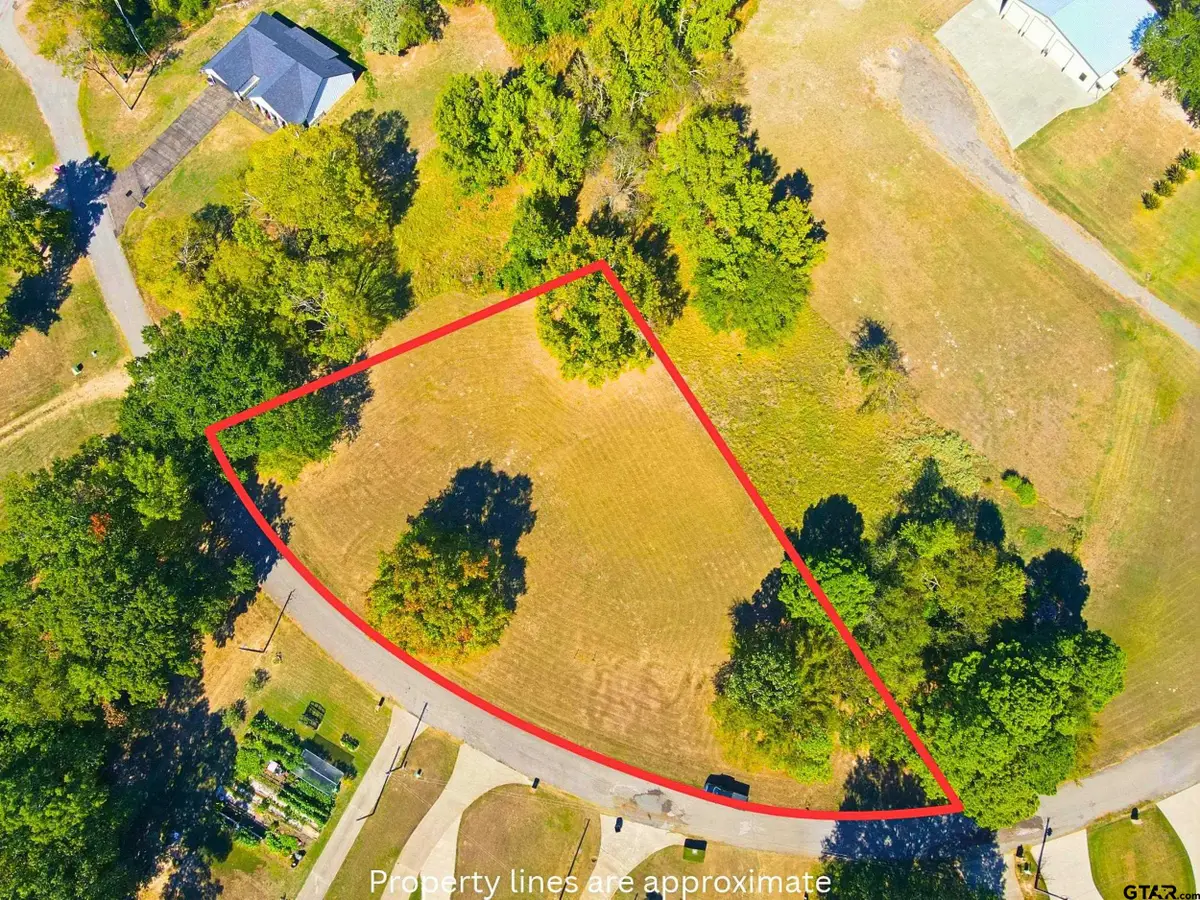 TBD Cr 2335, Mount Pleasant, TX 75455 - #1