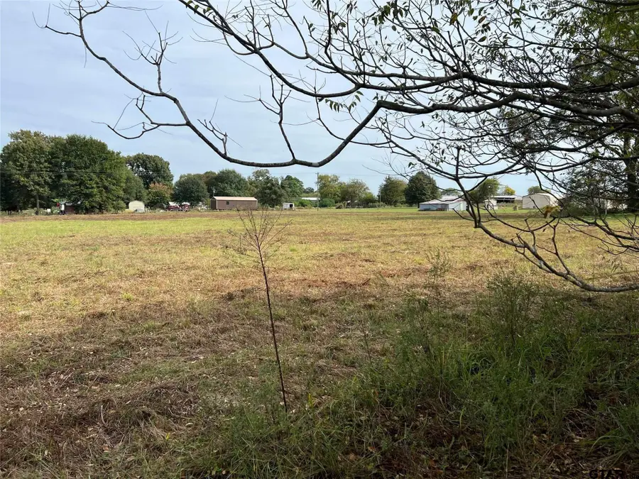 00 S Highway 271, Pittsburg, TX 75686 - #3