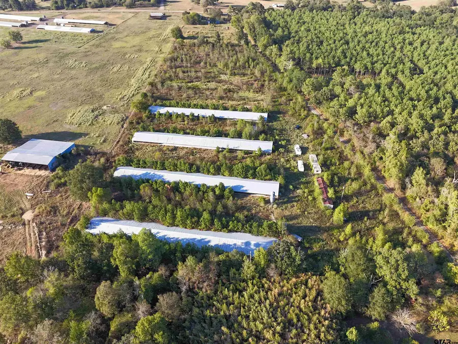 425 County Rd 2860, Hughes Springs, TX 75656 - #3