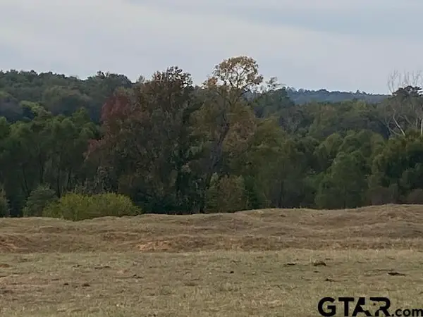 TBD Fm 315, Palestine, TX 75803