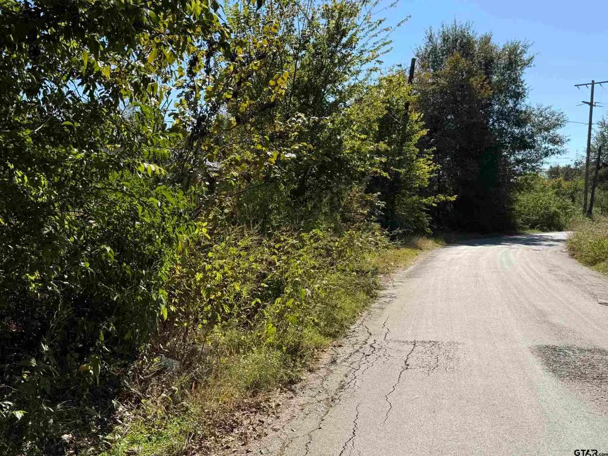 TBD Sycamore Street, Crockett, TX 75835 - #1