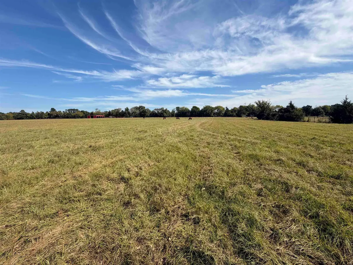 TBD Fm 855, Jacksonville, TX 75766 - #1