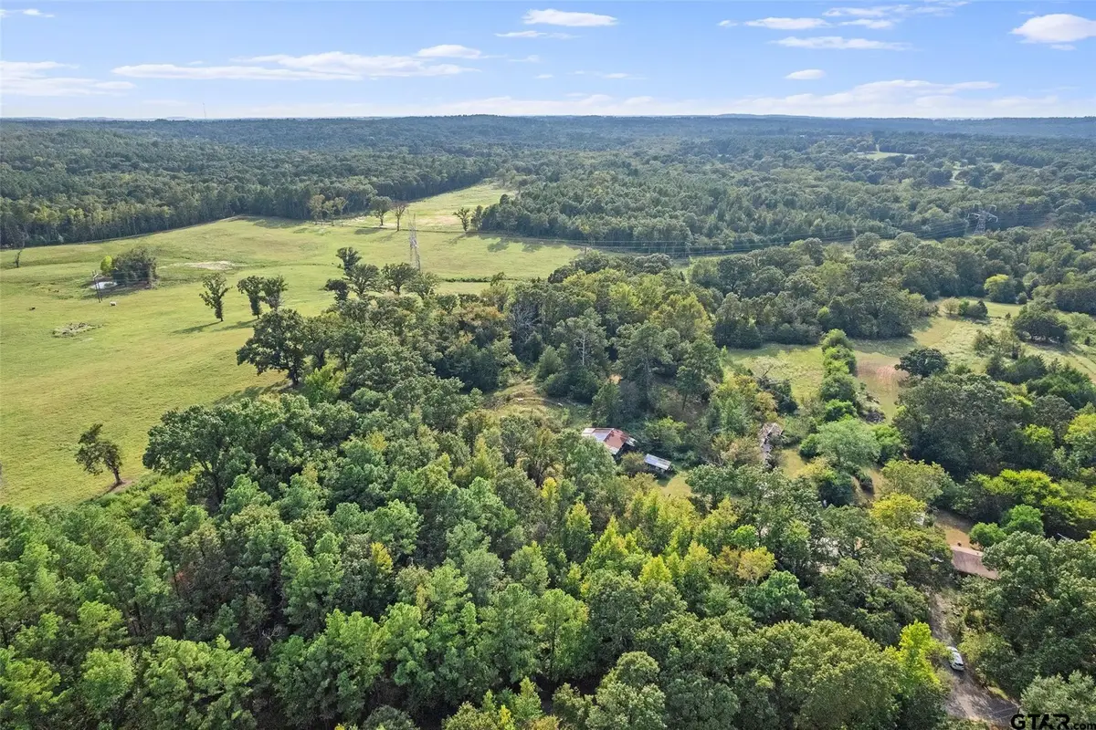 2605 Vz Countyroad 4923, Ben Wheeler, TX 75754 - #1