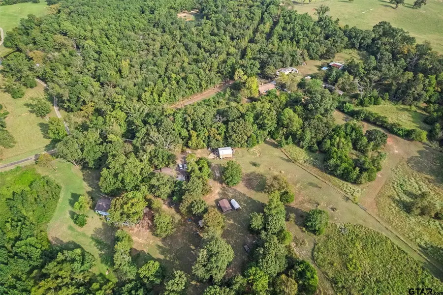 2605 Vz Countyroad 4923, Ben Wheeler, TX 75754 - #2