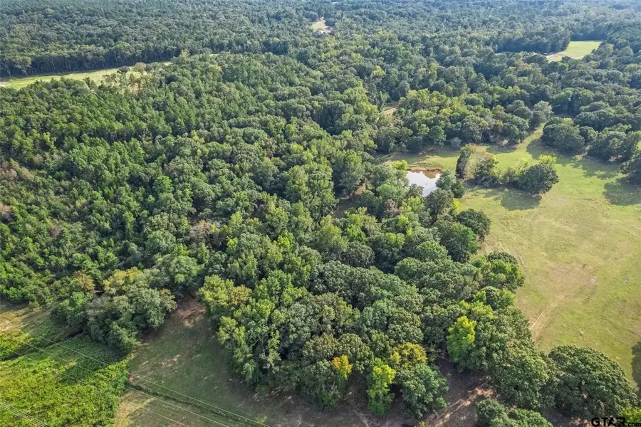 2605 Vz Countyroad 4923, Ben Wheeler, TX 75754 - #3