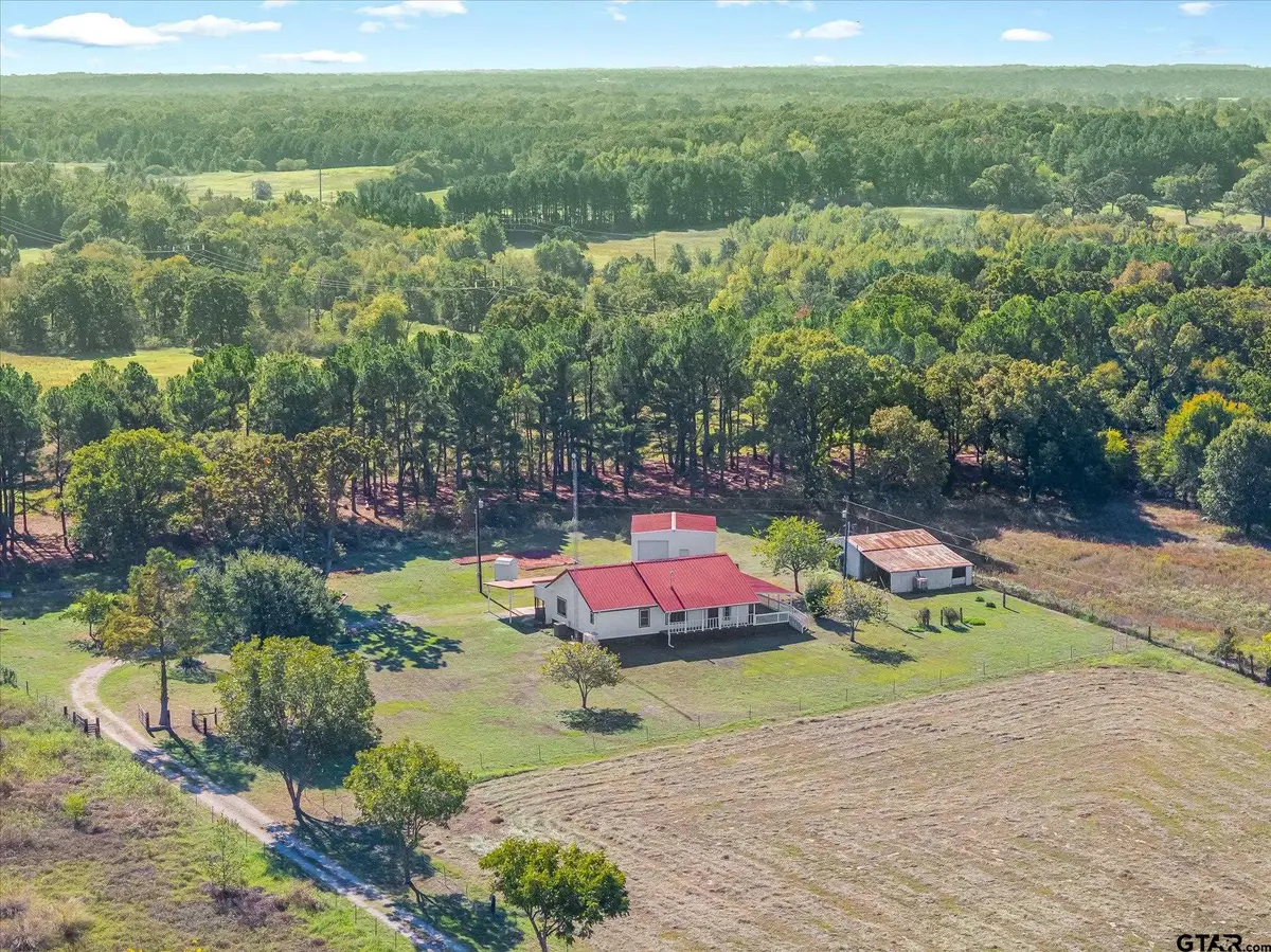 1122 Vz County Road 1219, Grand Saline, TX 75140 - #1