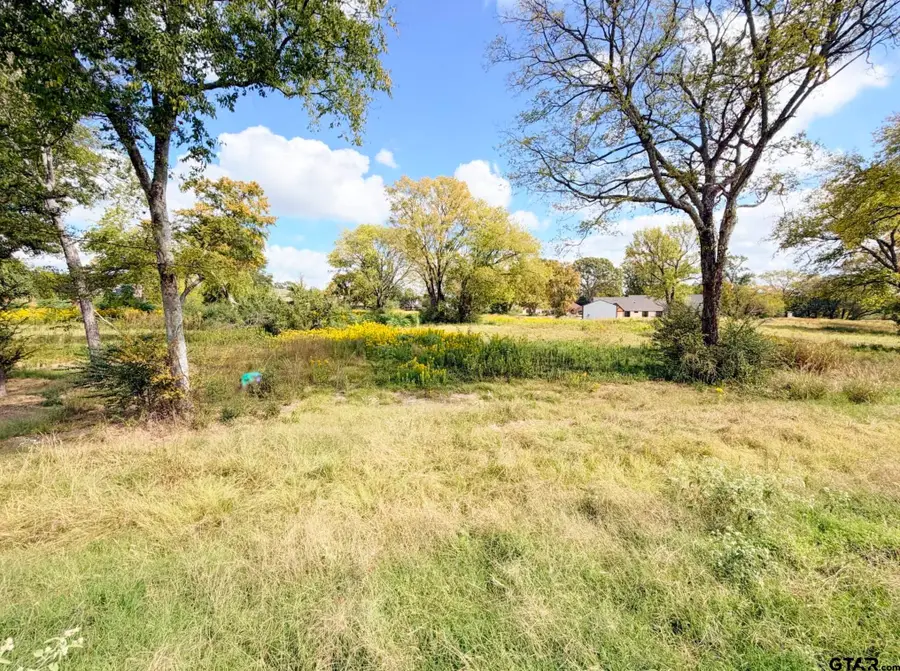 Lot 26 Carolina Way, Mount Pleasant, TX 75455 - #3