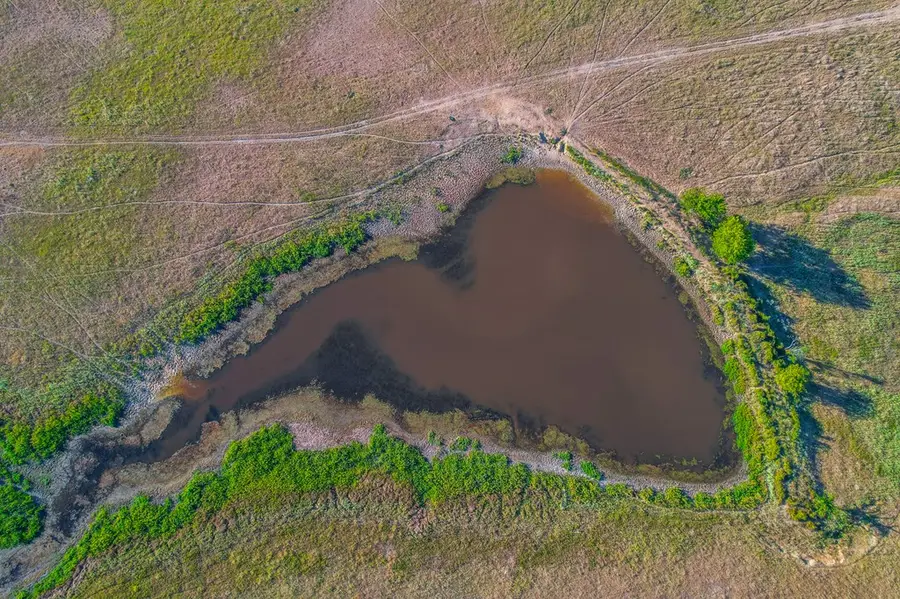 TBD Hwy 287, Cayuga, TX 75832 - Image #3