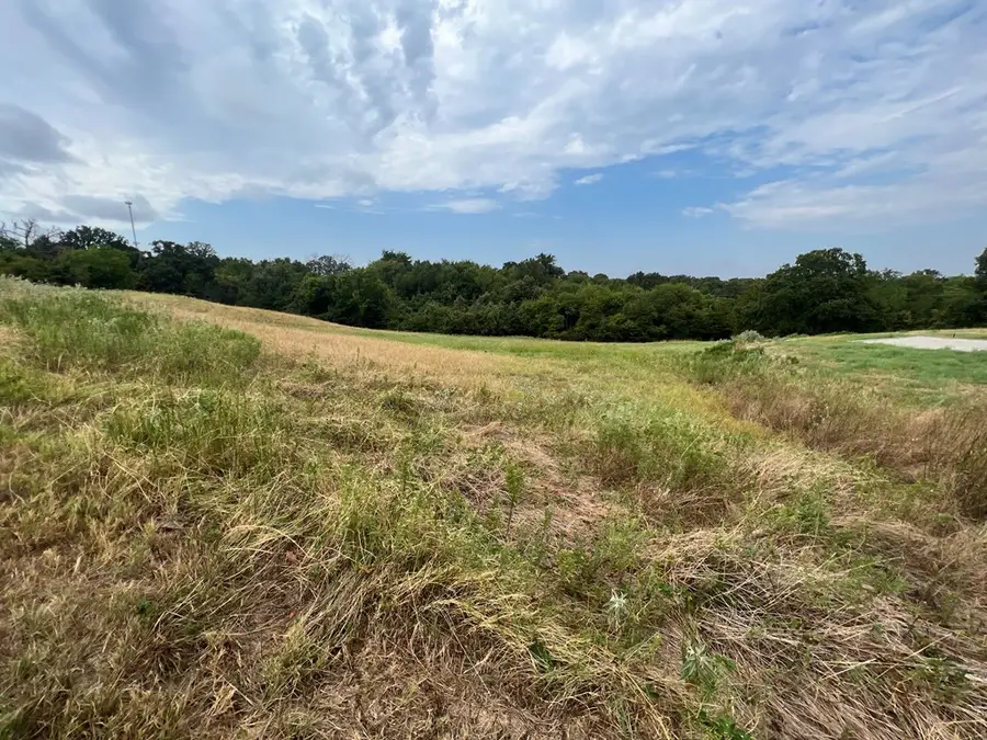 Lot 253 Overlook Pt, Athens, TX 75752 - Image #3