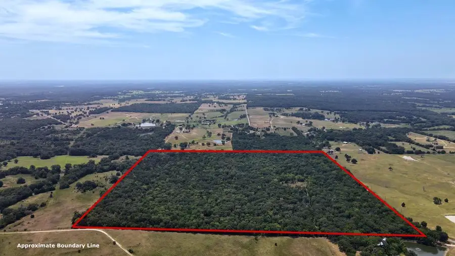 TBD Cr 41514, Athens, TX 75751 - Image #2