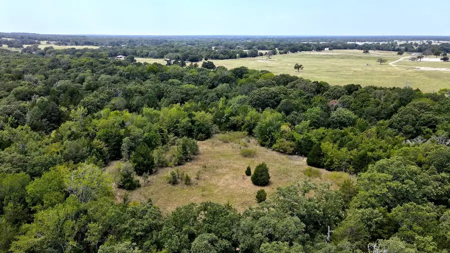 TBD Cr 41514, Athens, TX 75751 - Image #3