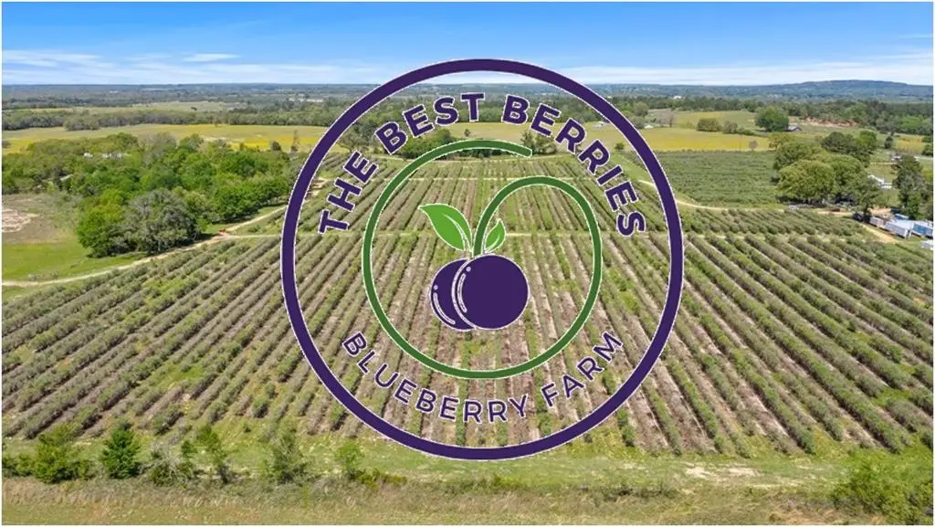 12462 Fm 2588, Larue, TX 75770 - Image #1