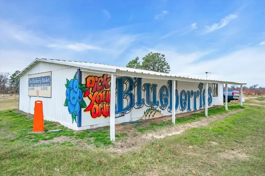 12462 Fm 2588, Larue, TX 75770 - Image #3