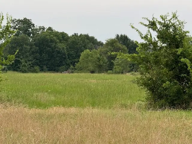 00 Smith Rd, Tool, TX 75143 - Image #3