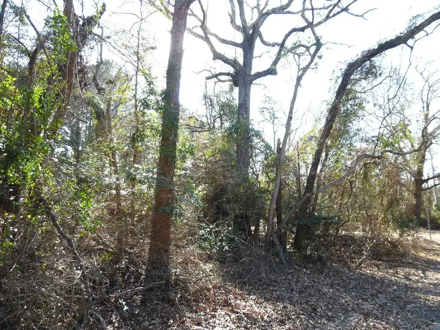 Lt 15 Sunny Ridge, Murchison, TX 75778 - Image #2