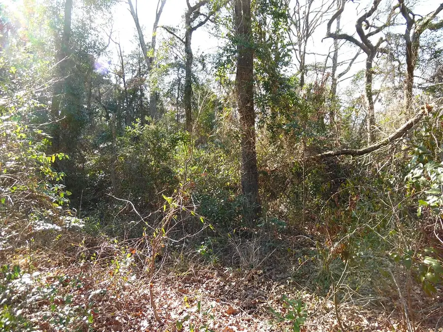 Lt 15 Sunny Ridge, Murchison, TX 75778 - Image #3