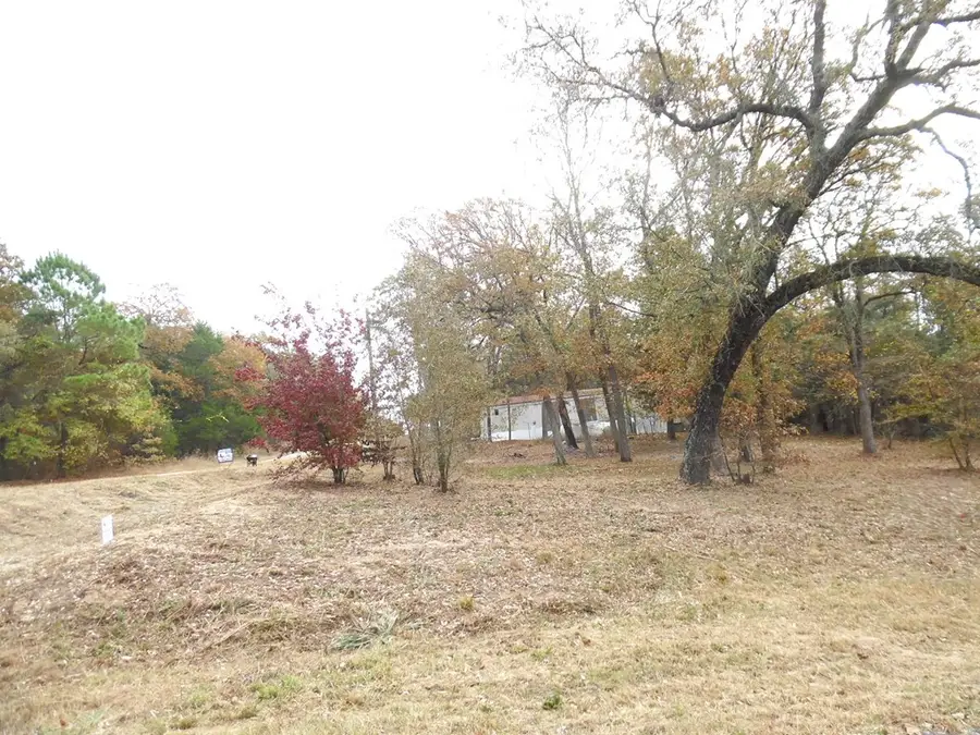 TBD-Lt 1 Willow Ln, Murchison, TX 75778 - Image #3